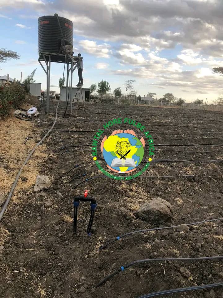 Installation d'un château d'eau pour irrigation goutte-à-goutte à Belel, Adamaoua