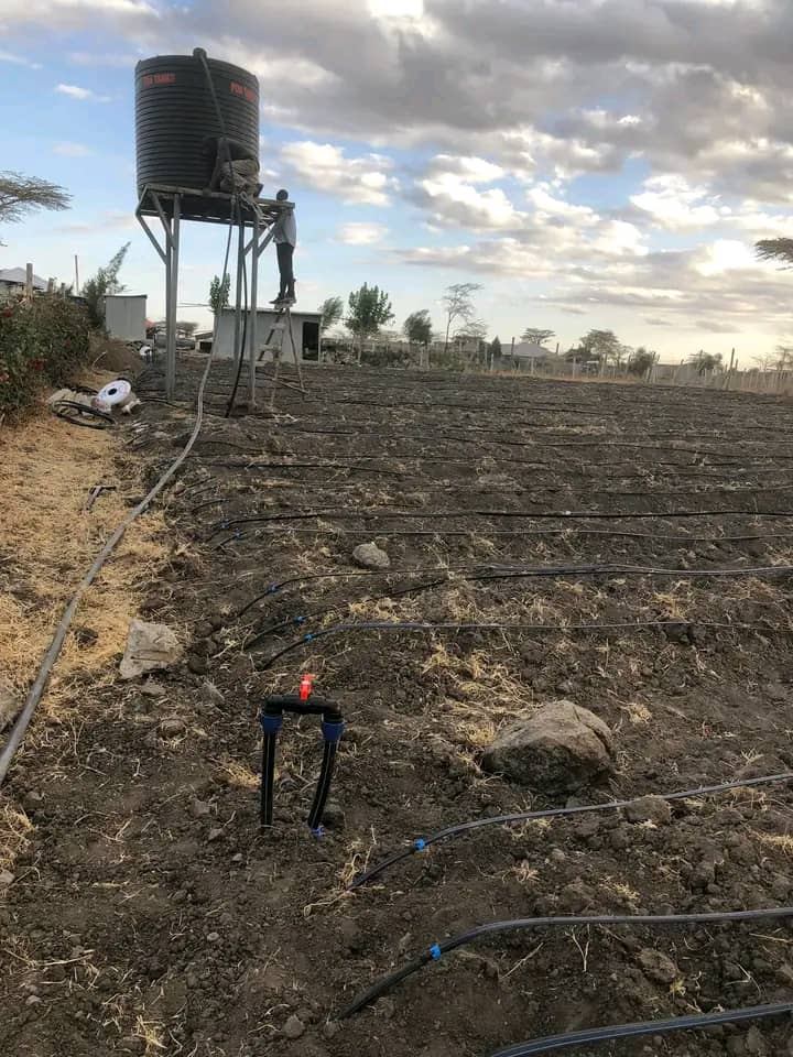 Château d'eau alimentant une irrigation goutte-à-goutte